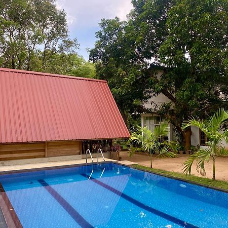 Habarana New Star Homestay Ngoại thất bức ảnh