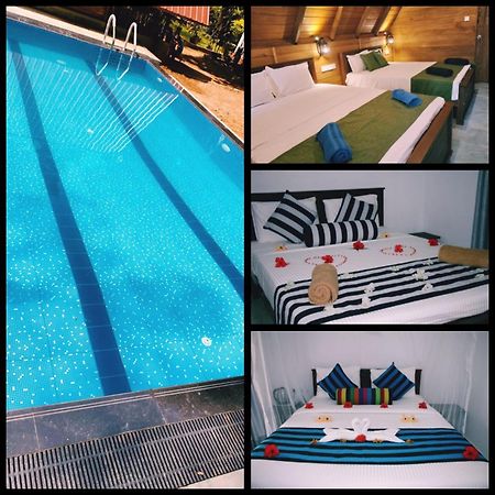 Habarana New Star Homestay Ngoại thất bức ảnh