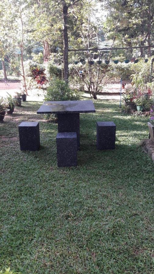 Habarana New Star Homestay Ngoại thất bức ảnh