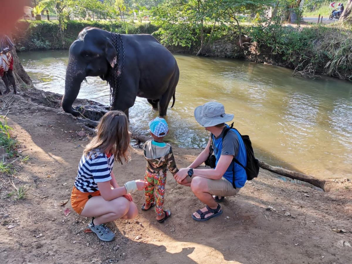 Habarana New Star Homestay Ngoại thất bức ảnh