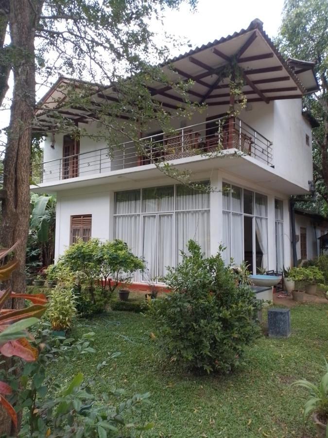 Habarana New Star Homestay Ngoại thất bức ảnh