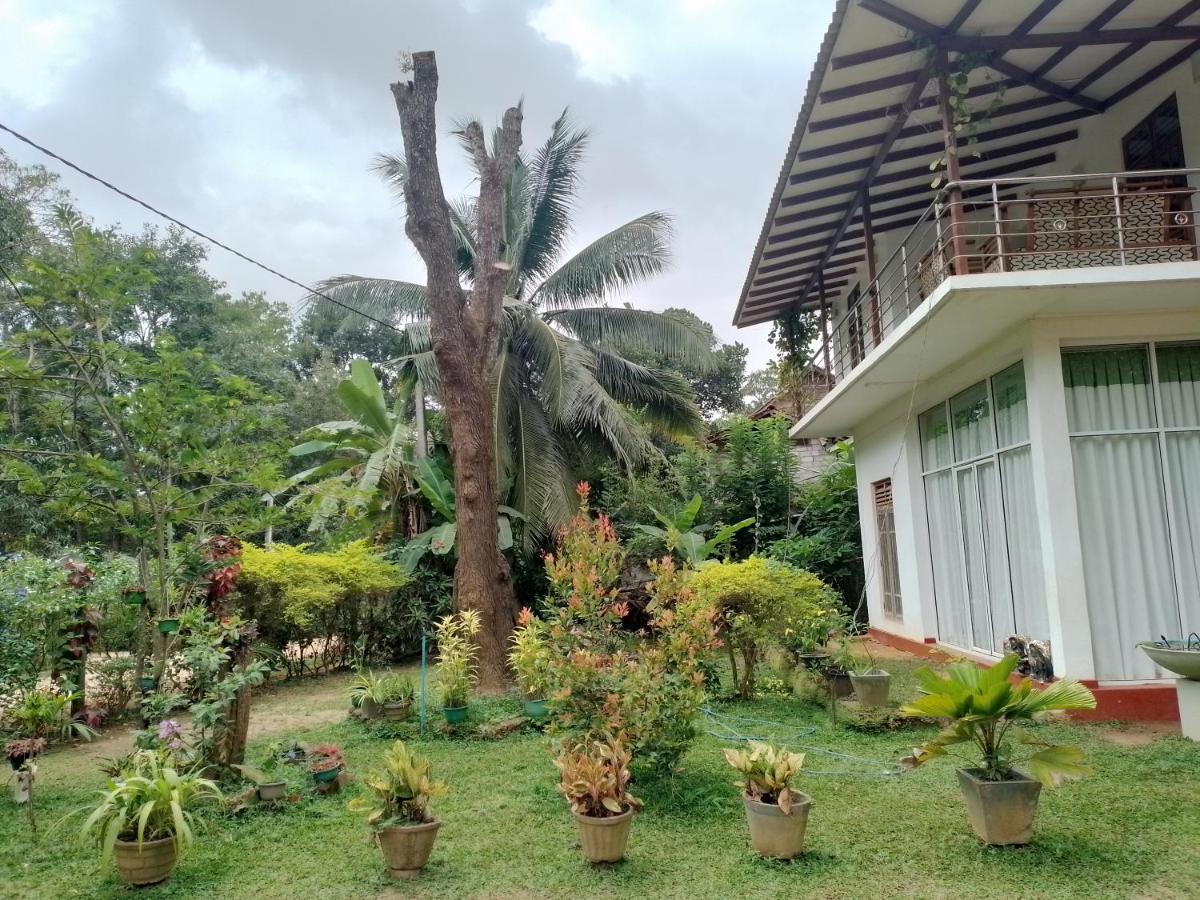 Habarana New Star Homestay Ngoại thất bức ảnh