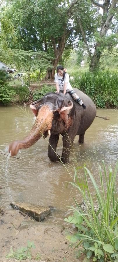 Habarana New Star Homestay Ngoại thất bức ảnh