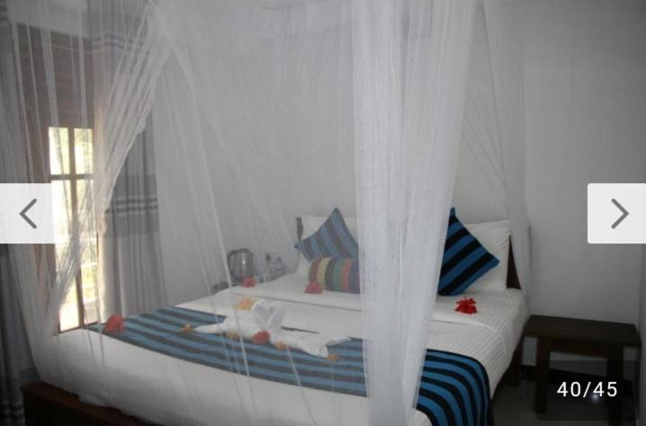 Habarana New Star Homestay Ngoại thất bức ảnh