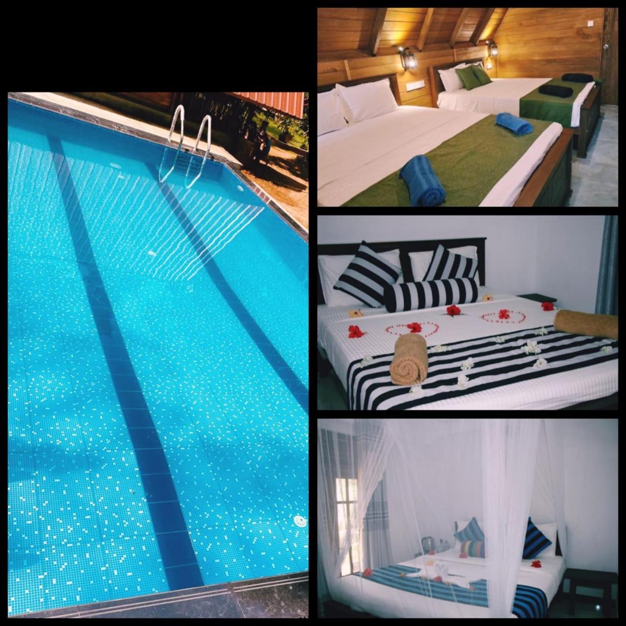 Habarana New Star Homestay Ngoại thất bức ảnh