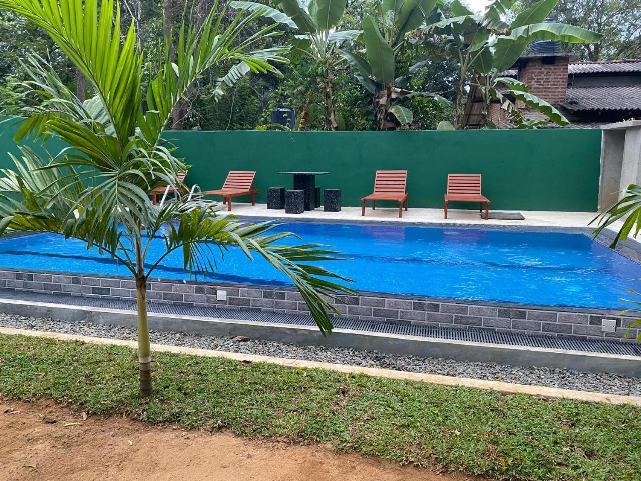 Habarana New Star Homestay Ngoại thất bức ảnh