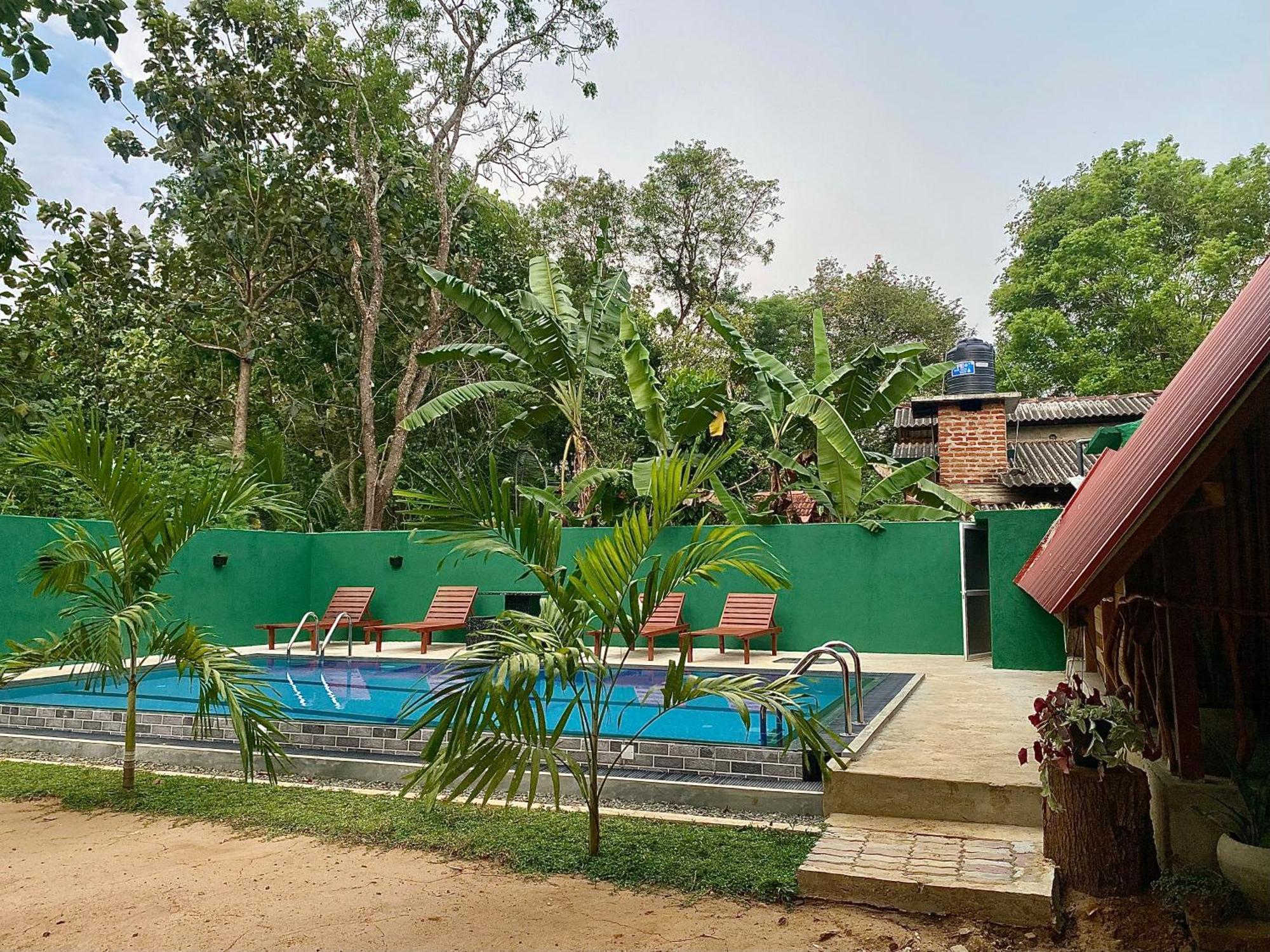 Habarana New Star Homestay Ngoại thất bức ảnh